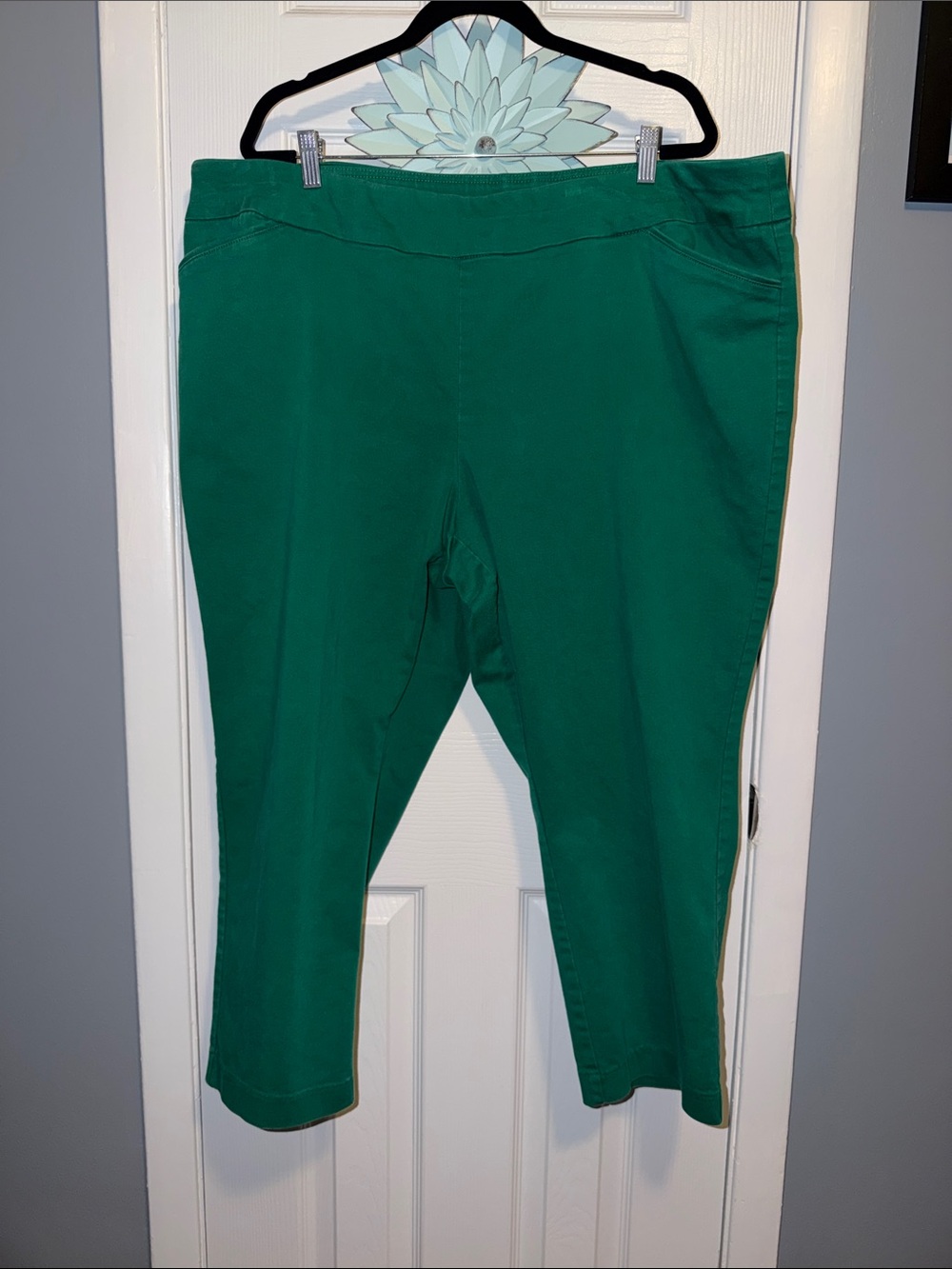 Pull on Ankle Pants
